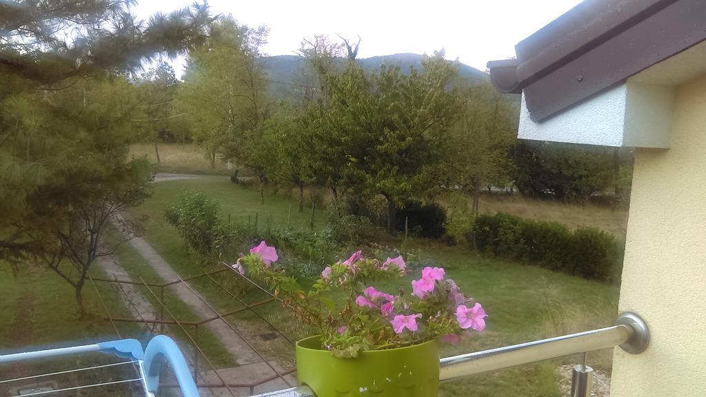 Frane Grobnik Apartment *
